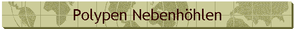 Polypen Nebenhhlen