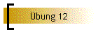 bung 12